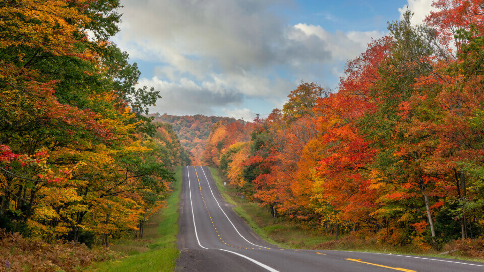 Windy road during autumn