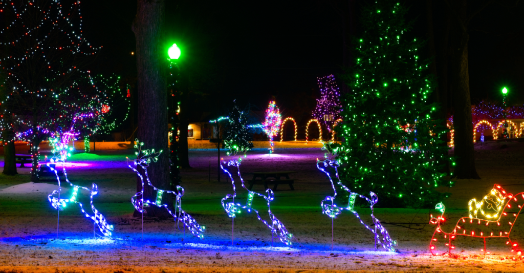 Holiday display featuring reindeer illuminated with colorful lights pulling a sled with Santa, set against a background of trees and festive light arches at night.