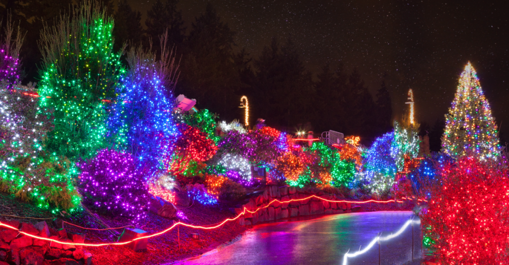 Colorful holiday lights decorating trees and bushes along a path, with glowing red and white lights outlining a frozen walkway, set against a dark night sky.