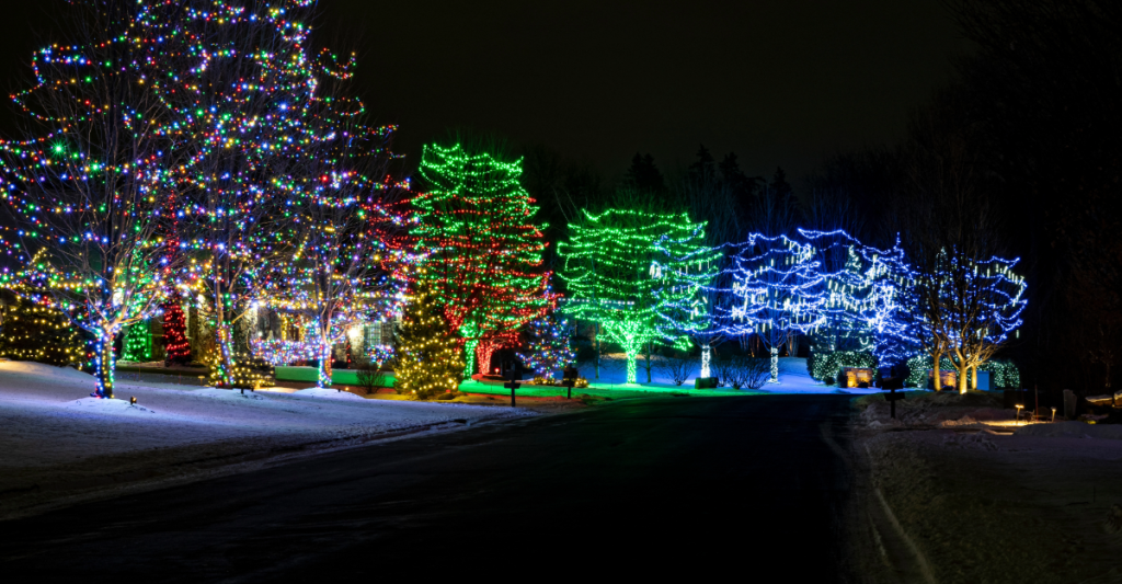 Street lined with trees decorated with colorful holiday lights in red, green, and blue, set against a snowy landscape at night.