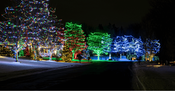 A vibrant display of holiday lights